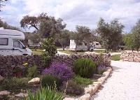Camping Asseiceira Photo