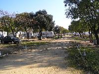 Camping Alpha Photo