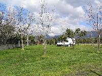 Camping almoetia Photo
