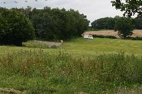 Little Rother Wood Photo
