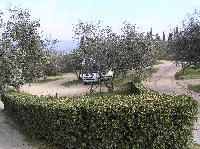 Camping Michelangelo Photo