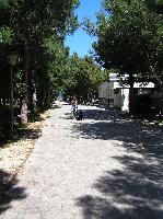 Camping La Pineta Photo